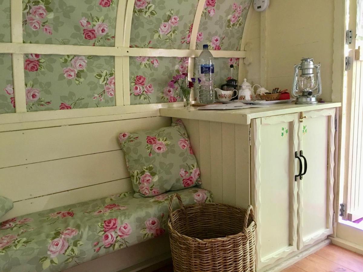 リングウッド Fernwood Bed & Breakfast エクステリア 写真