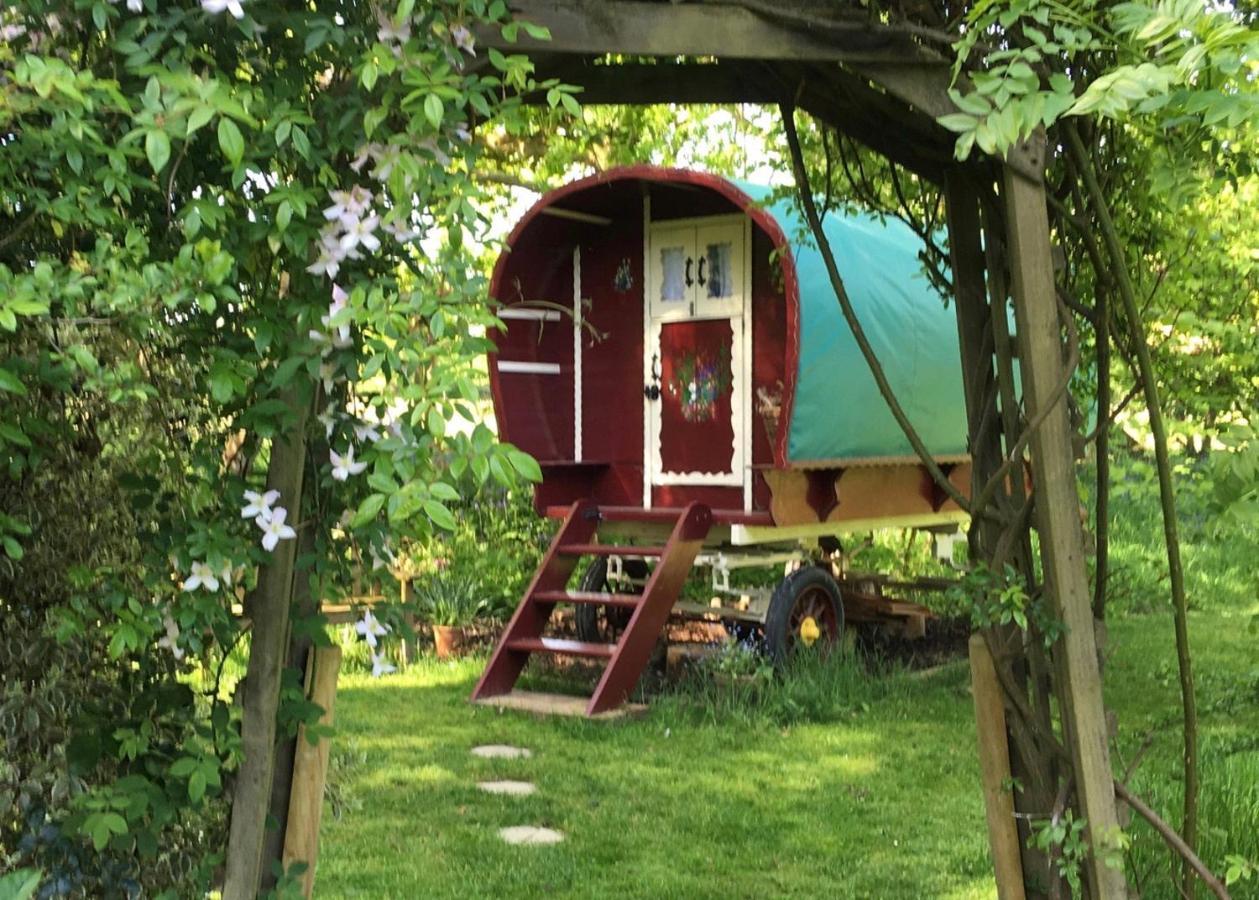リングウッド Fernwood Bed & Breakfast エクステリア 写真