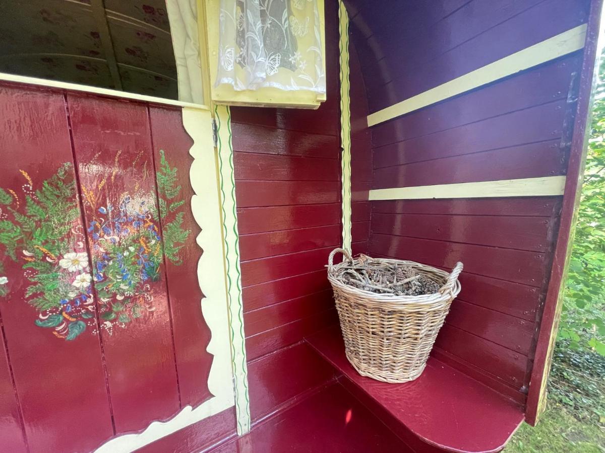 リングウッド Fernwood Bed & Breakfast エクステリア 写真