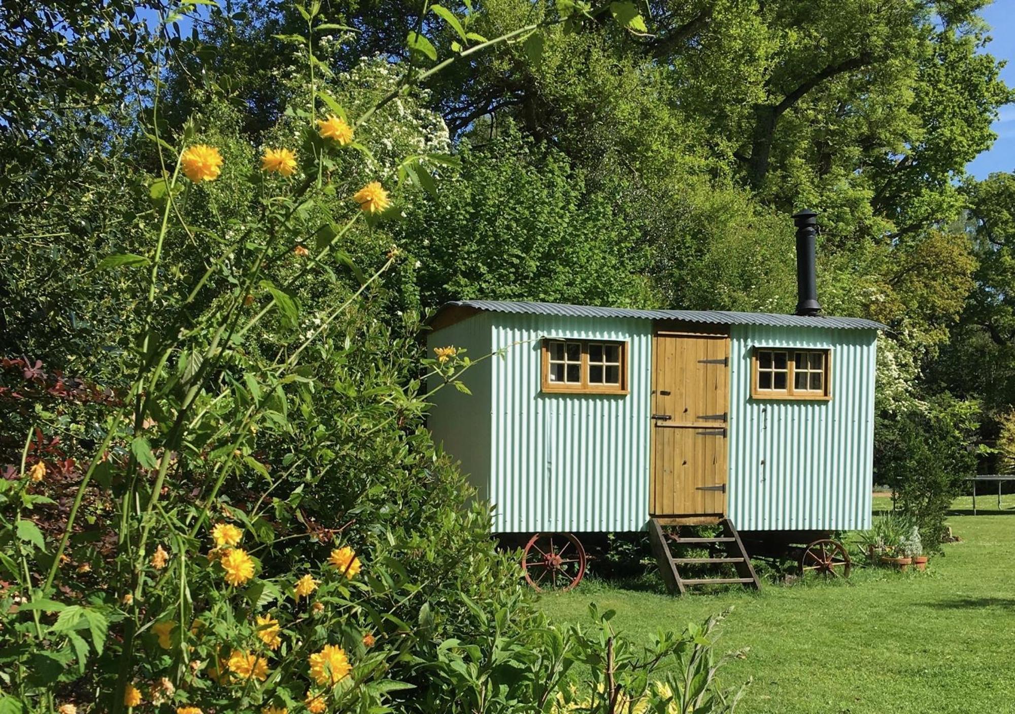 リングウッド Fernwood Bed & Breakfast エクステリア 写真